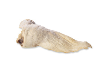 Nutritious pet food on a white background with shadow, artificial ear with vitamins, product label, shop assortment, pet food, zoo products