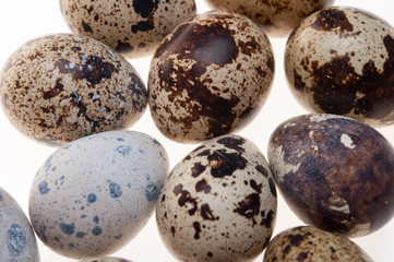 Quail eggs isolated on white