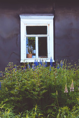 Fragment of old rural house in East Europe. Wooden window and blooming flowers.