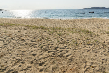 Panoramic view of Valti Beach at Sithonia peninsula, Chalkidiki, Central Macedonia, Greece