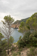Fototapeta na wymiar The Costa Brava in the province of Girona, Catalonia