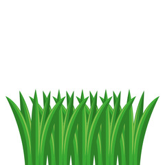 grass cultivated isolated icon vector illustration design