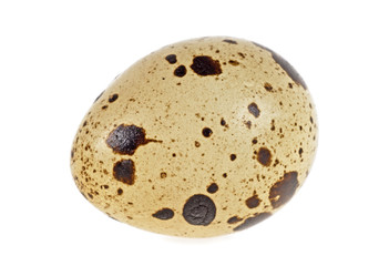 Single quail egg isolated over white background
