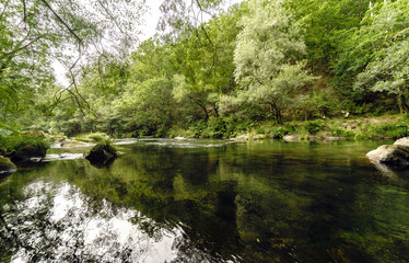 Bucolic image of the river Eume with the banks covered with trees and a very calm stream, in Galicia, Spain.