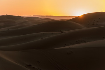 Fototapeta na wymiar sand dune with sunrise in morning in Sahara desert