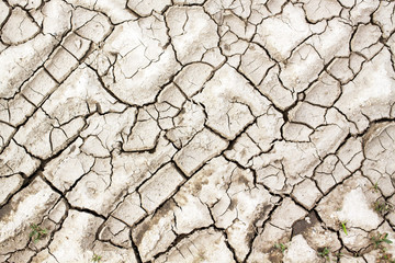 Climate change concept - cracked ground texture background