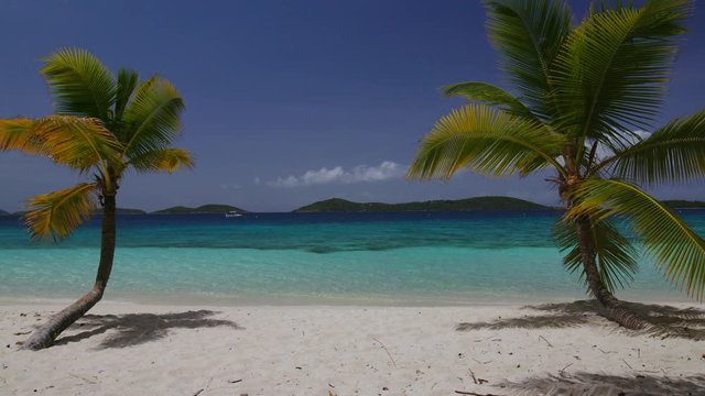 beach with palm tree window in the Caribbean. Salomon Bay, St John, United States Virgin Islands
