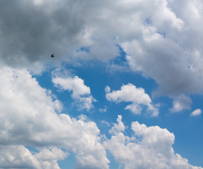 a bird flying in the clouds