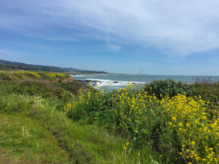 Amazing coastline. Pacific ocean