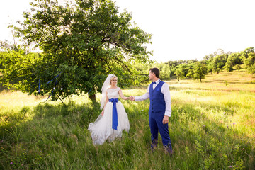 Naklejka na ściany i meble Wedding couple. Bride and groom holding hands near tree in park. Marriage concept