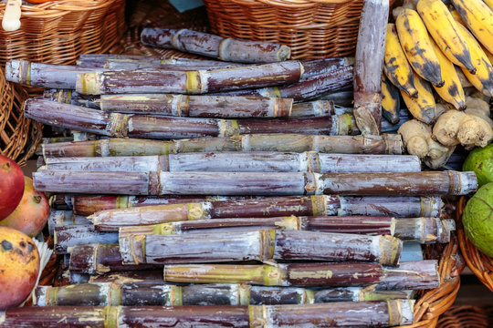 Madeira - Bauernmarkt - Zuckerrohr