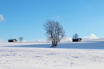 Holzhütten im verschneiten Voralpenland bei traumhaftem Winterwetter, Allgäu, Bayern