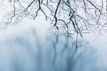 Frozen lake in snowy forest.