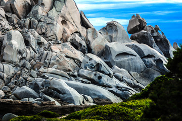 Into the wild.. Italy, Sardegna 2017