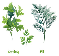 Watercolor parsley, chives and dill. Hand painted illustration perfect for cookbooks, restaurant menu or cards. - 185179655