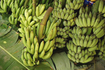 Pile of Bananas - 185179835
