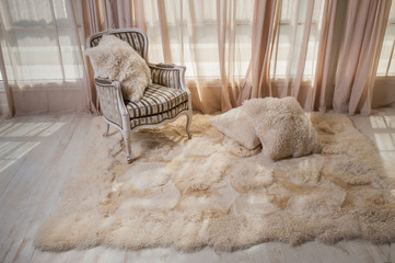 carpet of fur in the interior of the house