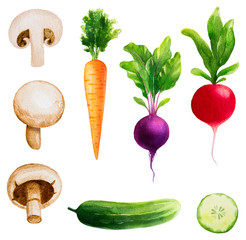 Watercolor vector vegetables set - 185181084