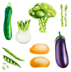 Watercolor vector vegetables set - 185181443