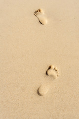Footprints in the sand