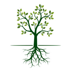 Green Spring Tree. Vector Illustration.