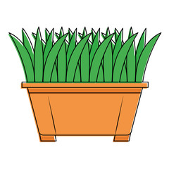grass in pot icon vector illustration design