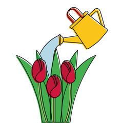 beautiful roses cultivated with sprinkler vector illustration design