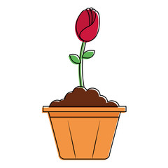 beautiful rose in pot vector illustration design