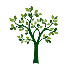 Obraz premium Zielone drzewo wiosny. Ilustracji wektorowych.