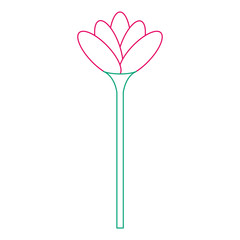 beautiful flower isolated icon vector illustration design