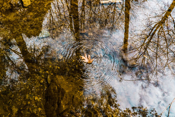 Hocking Hills Adventure