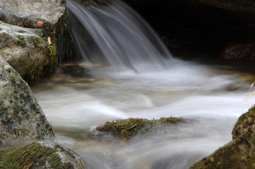 Fototapeta premium A beautiful forest stream cascading over mossy rocks