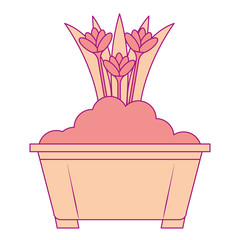 beautiful flowers cultivated in pot vector illustration design