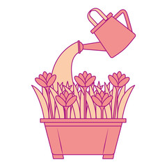 beautiful flowers cultivated in pot vector illustration design