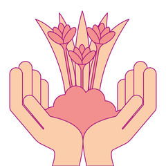 hands with beautiful flowers cultivated icon vector illustration design