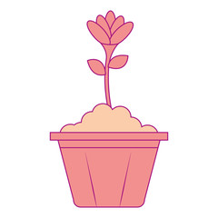 beautiful flower in pot vector illustration design