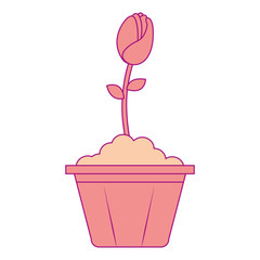 beautiful rose in pot vector illustration design