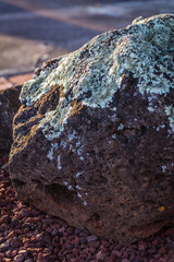 rock, stone, nature, texture, volcanic, fungus, lava, 
