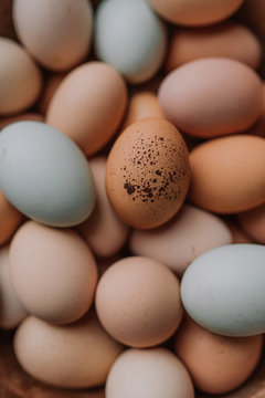 Farm eggs