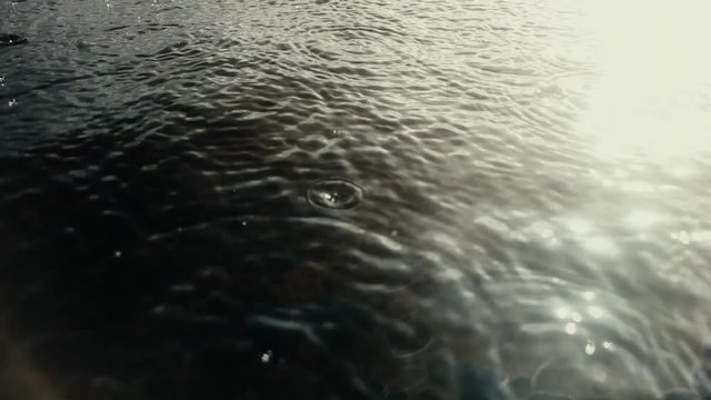 Summer rain, sunshower
