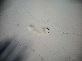 Footprint in the sand