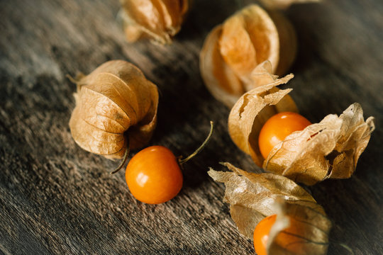 details of physalis