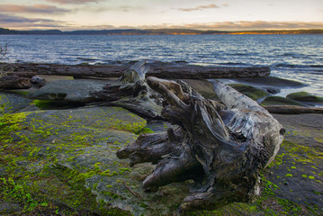 Scenic sunset view of the ocean from Roberts Memorial Park in Nanaimo, British Columbia.