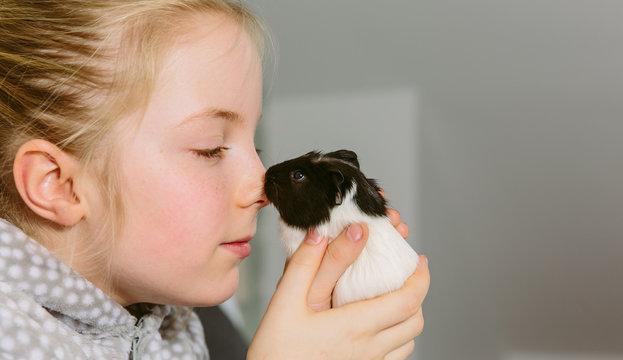 little girl rubbing noses with a baby guinea pig