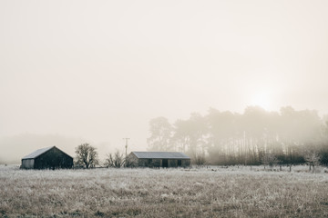 Barns and fog at sunrise, on a frost covered morning. Norfolk, U
