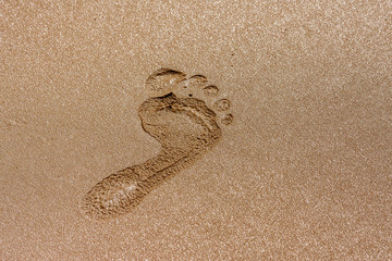 Footprint