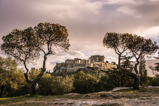 parthenon temple seen through mediteranean trees at sunrise