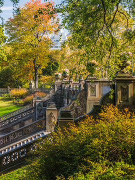 Bathesda terrace