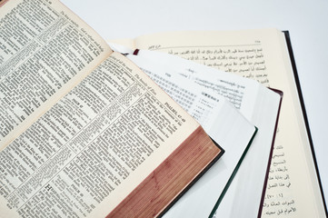 Bibles in Different Languages