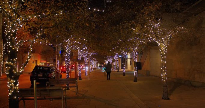 A nighttime view of an Austin tree-lined sidewalk decorated for the holiday season.  	